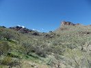 photo thumbnail #8