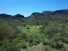 photo thumbnail #13