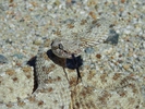 photo thumbnail #3