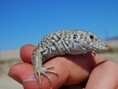 photo thumbnail #5