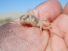 photo thumbnail #10