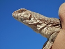 photo thumbnail #14