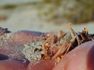 photo thumbnail #15