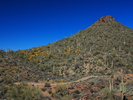 photo thumbnail #3