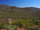 photo thumbnail #5