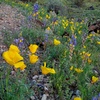 photo thumbnail #4
