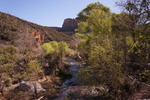 photo thumbnail #13