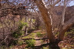 photo thumbnail #15