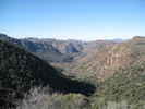 recent photo