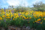 photo thumbnail #2