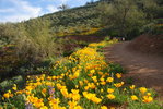 photo thumbnail #3