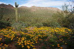 photo thumbnail #1