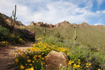 photo thumbnail #2