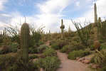 photo thumbnail #8