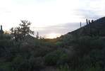 photo thumbnail #10