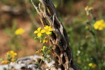 photo thumbnail #10