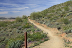 photo thumbnail #12