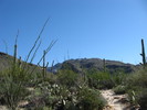 photo thumbnail #1