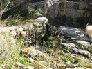photo thumbnail #11
