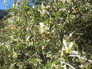 photo thumbnail #13