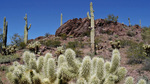 photo thumbnail #4