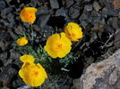 photo thumbnail #9
