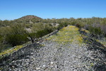photo thumbnail #10