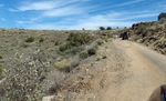 photo thumbnail #9