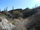photo thumbnail #1