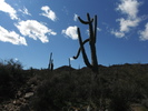 photo thumbnail #4