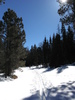 photo thumbnail #1