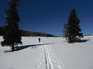 photo thumbnail #4