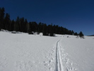 photo thumbnail #6