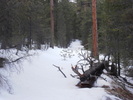 photo thumbnail #1