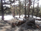photo thumbnail #4