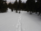 photo thumbnail #9