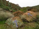 photo thumbnail #5