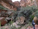 photo thumbnail #6