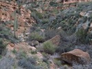 photo thumbnail #11