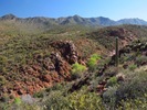 photo thumbnail #2
