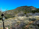 photo thumbnail #2