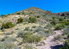 photo thumbnail #7