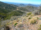 photo thumbnail #8