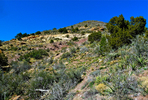 photo thumbnail #9