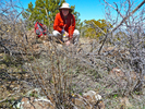 2013-03-14 :1: Iron Mountain - Tonto NF :: FLYING_FLIVER
