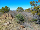 2013-03-14 :1: Iron Mountain - Tonto NF :: FLYING_FLIVER