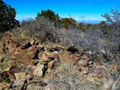 2013-03-14 :1: Iron Mountain - Tonto NF :: FLYING_FLIVER