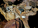 2013-03-14 :1: Iron Mountain - Tonto NF :: FLYING_FLIVER