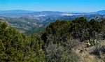 2013-03-14 :1: Iron Mountain - Tonto NF :: FLYING_FLIVER
