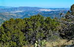 2013-03-14 :1: Iron Mountain - Tonto NF :: FLYING_FLIVER